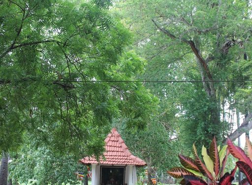 කදුරුගොඩ පුරාණ විහාරය